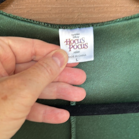 Disney Hocus Pocus Winifred Sanderson purple and green long sleeve dress size L - Picture 2 of 6